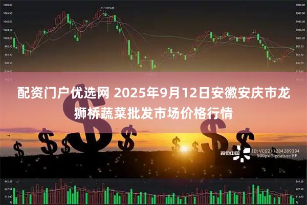 配资门户优选网 2025年9月12日安徽安庆市龙狮桥蔬菜批发市场价格行情
